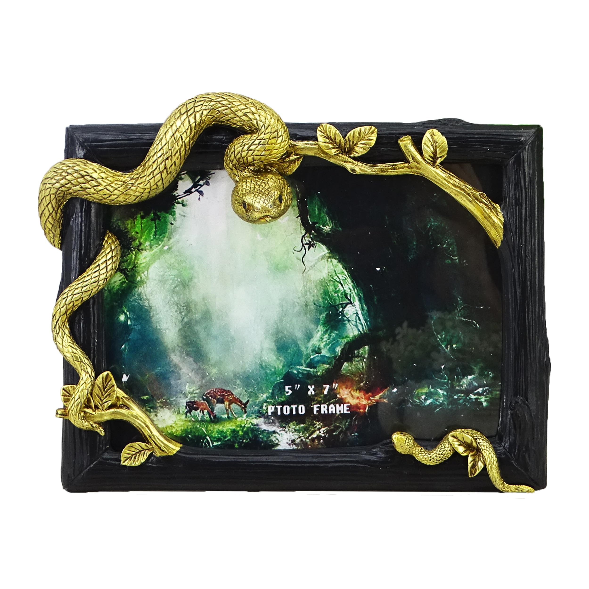 Amazon.com - SEAKINGDOM YHH Hand-Crafted Resin Snake Picture